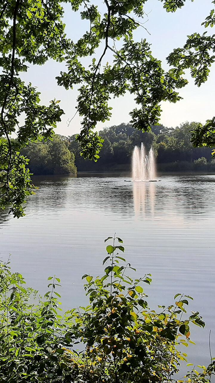 Gabelweiher